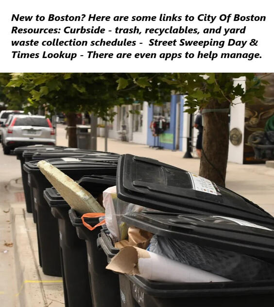 View your collection schedule, search recyclable materials, and more. Sign up for alerts to stay updated on changes to your service.